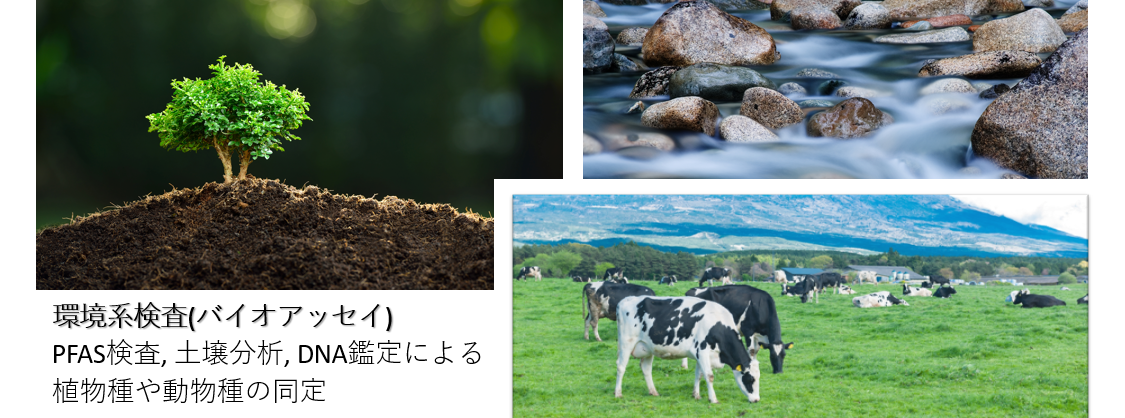 環境系検査開始のお知らせ
